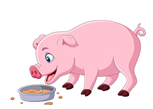 96f9e492f29c813a97831a77a9cfce7.png