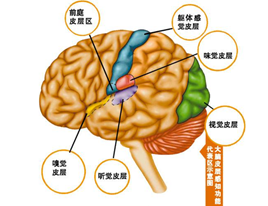65d507aadc9d6a653c2f9d77f79f022.png