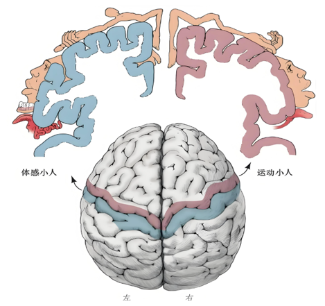 60727f2e7e6389b323e8c1a4cbff34d.png