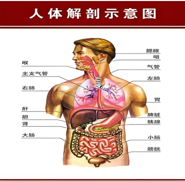 ac61eea981cad1712d316e18c61b06ac.png